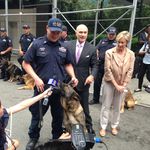 Bear, with Officer Tieniber, Police Commissioner Kelly and Animal Medical Center CEO Kathryn Coyne